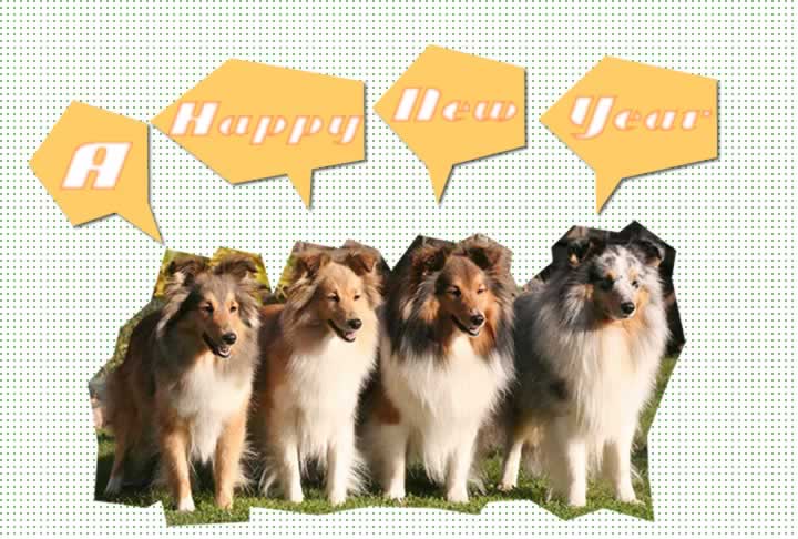 2006 a happy new year